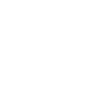 NFT White Icon